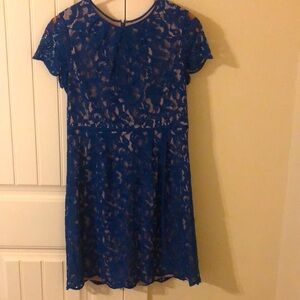 Adrianna Papell size 14 cobalt blue lace fully lined dress. EUC